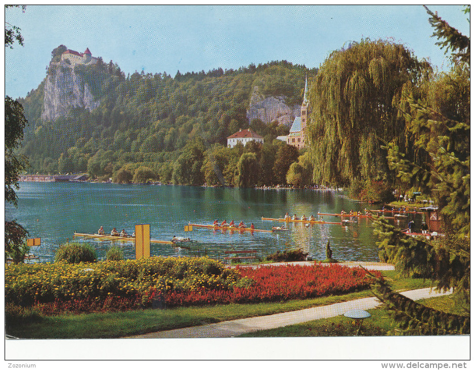 Bled, Slovenia, Rowing, Regata , Veslanje, Postcard - Aviron