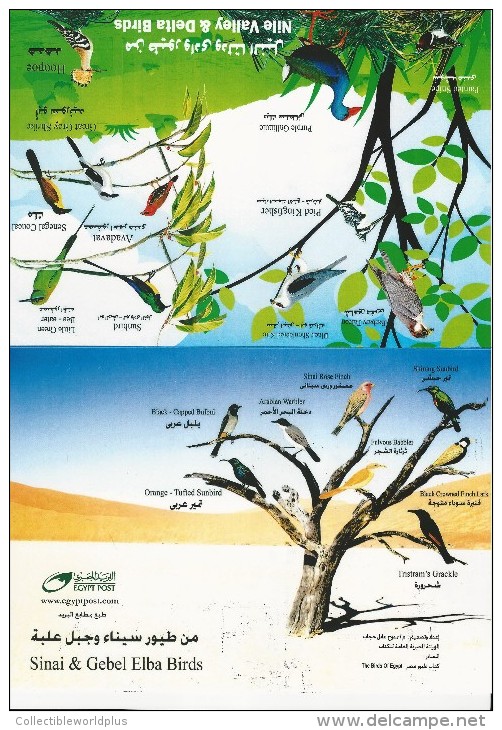 Egypt 2014 First Day Cover - Large Folder - FDC Birds Sinai, Elba Mountains, Nile Valley & Delta - Covers & Documents