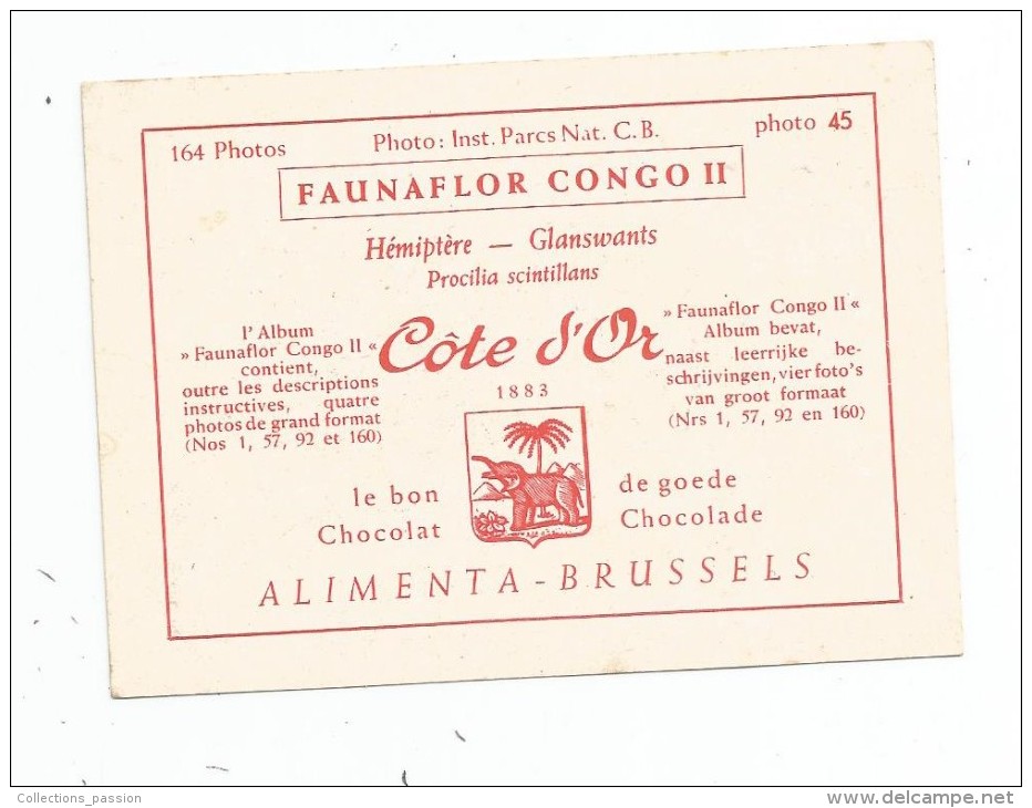 Chromo , Image , COTE D'OR , FAUNAFLOR CONGO II , N° 45 , HEMIPTERE,2 Scans , Alinenta BRUSSELS - Côte D'Or