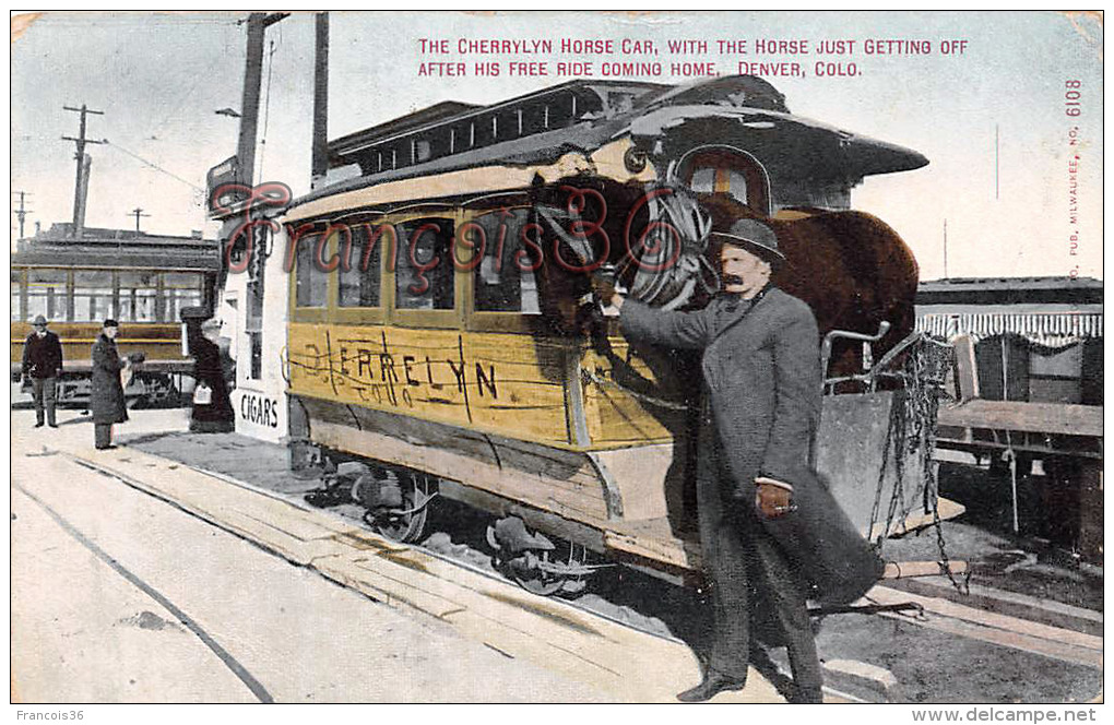(Colorado) - Denver - The Cherrylyn Horse Car, With The Horse Just Getting Off After His Free Ride Coming Home - 2 SCANS - Denver