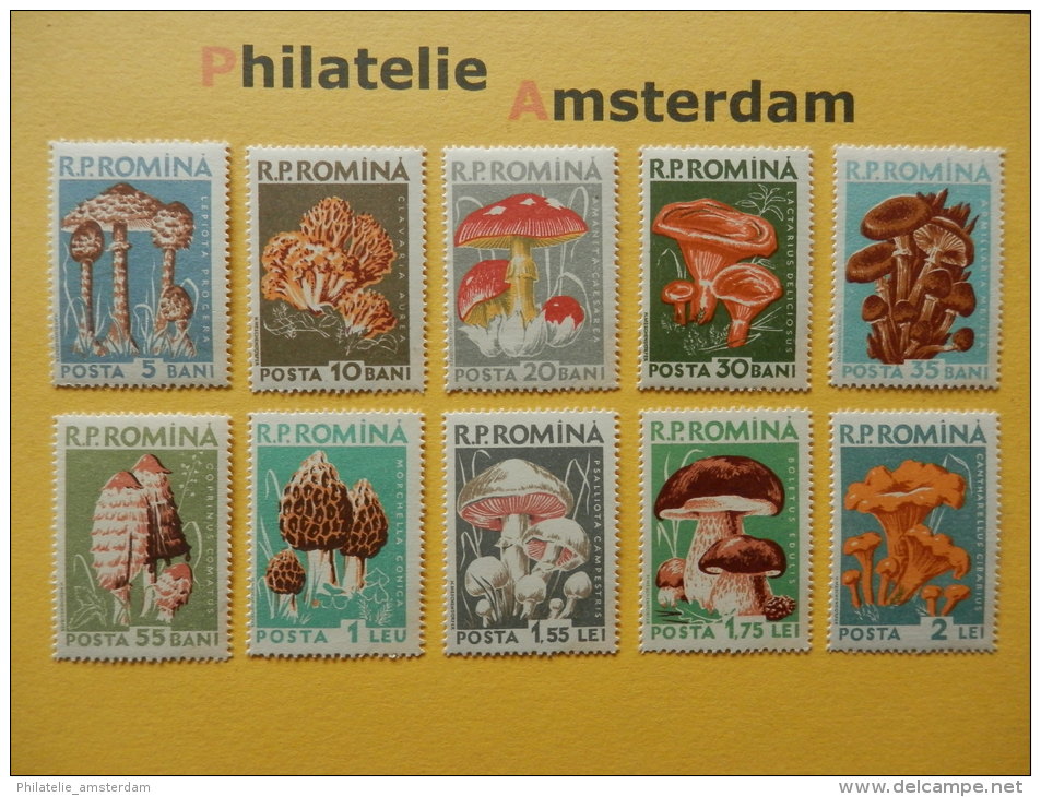 Romania 1958, FLORA MUSHROOMS CHAMPIGNONS PILZE SETAS PADDESTOELEN: Mi 1721-30, ** - Paddestoelen