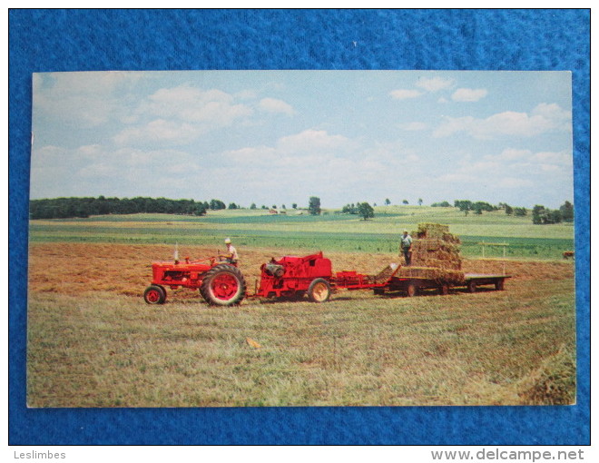 Harvest Of Hay - Grand Island