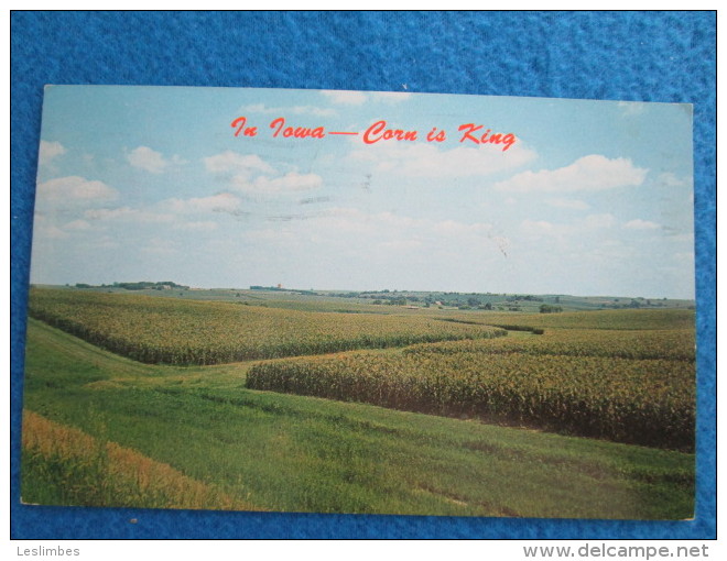 In Iowa - Corn Is King - Autres & Non Classés