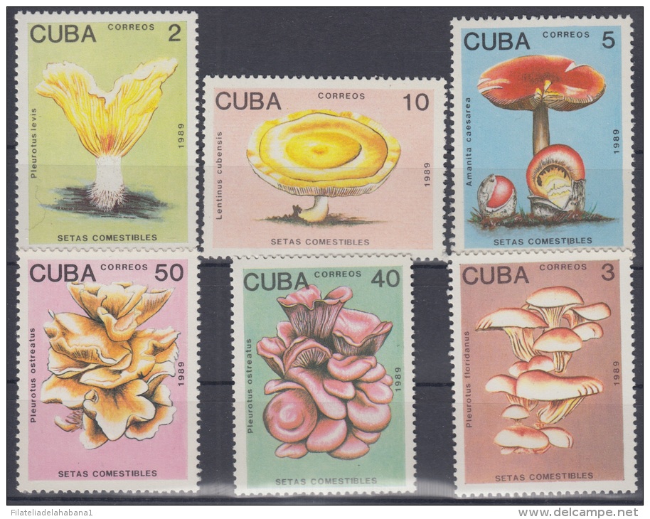 1989.9- * CUBA 1989. MNH. HONGOS. MUSHROOMS. FUNGUS. CHAMPIÑONES. COMPLETE SET. - Neufs