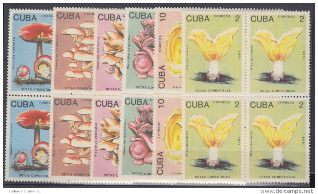 1989.10- * CUBA 1989. MNH. HONGOS. MUSHROOMS. FUNGUS. CHAMPIÑONES. COMPLETE SET. BLOCK OF 4. - Ongebruikt