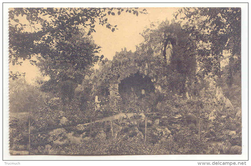 E3489  -  FOURON - LE - COMTE  -  Pensionnat Des Ursulines  -  Grotte De ND De Lourdes - Voeren