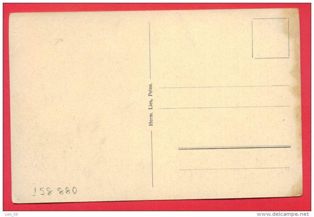 158880 / PEINE - PARTIE IN HERZBERG - Germany Deutschland Allemagne Germania - Peine