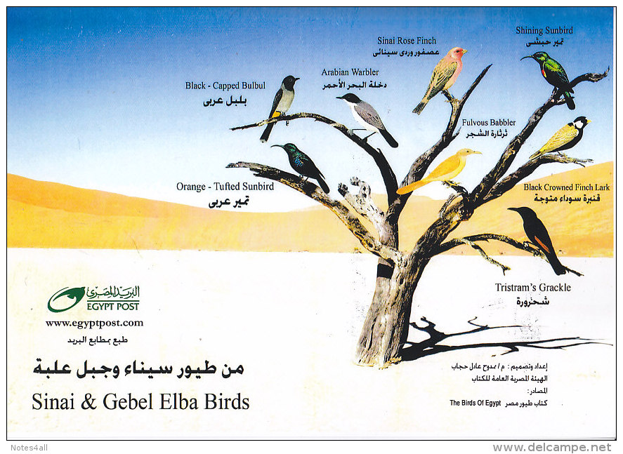 Fdc EGYPT 2014 EGYPTIAN WILD BIRDS FAUNA SET CANCELLED ON OFFICIAL FOLDER */* - Covers & Documents