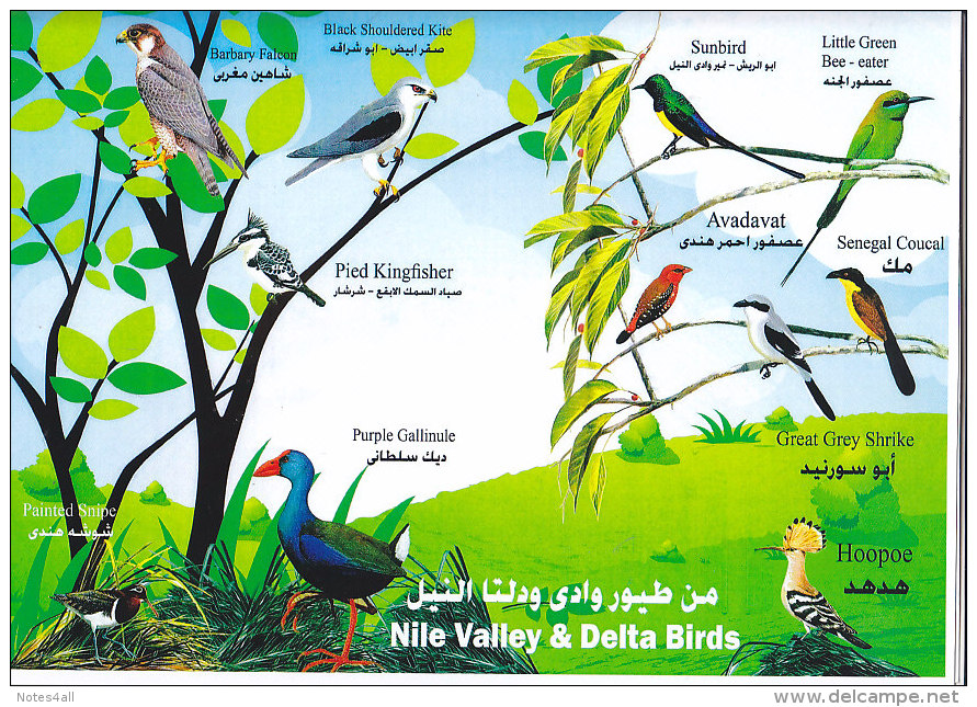 Fdc EGYPT 2014 EGYPTIAN WILD BIRDS FAUNA SET CANCELLED ON OFFICIAL FOLDER */* - Covers & Documents