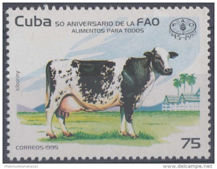 1995.42- * CUBA 1995. MNH. 50 ANIV DE LA FAO. VACA. FOOT. CAO. - Unused Stamps