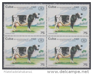 1995.43- * CUBA 1995. MNH. 50 ANIV DE LA FAO. VACA. FOOT. CAO. BLOCK OF 4. - Unused Stamps