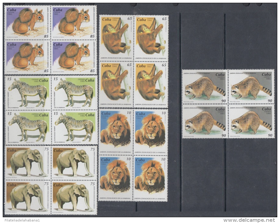 1995.44- * CUBA 1995. MNH. NATIONAL ZOO. LION. MAPACHE. MONKEY. ELEPHANT. ARDILLA. LEON. MONOS. CEBRA. BL4 - Unused Stamps