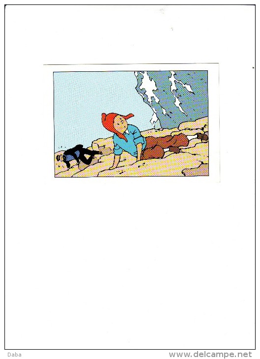 Belle Carte De Tintin. - Hergé