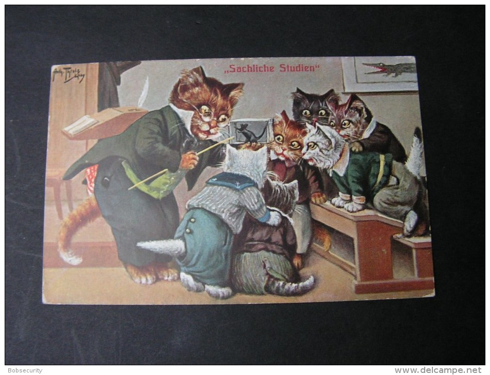 == Arthur Thiele, Katzen In Der Schule,  Studien   Aus 1911 - Thiele, Arthur