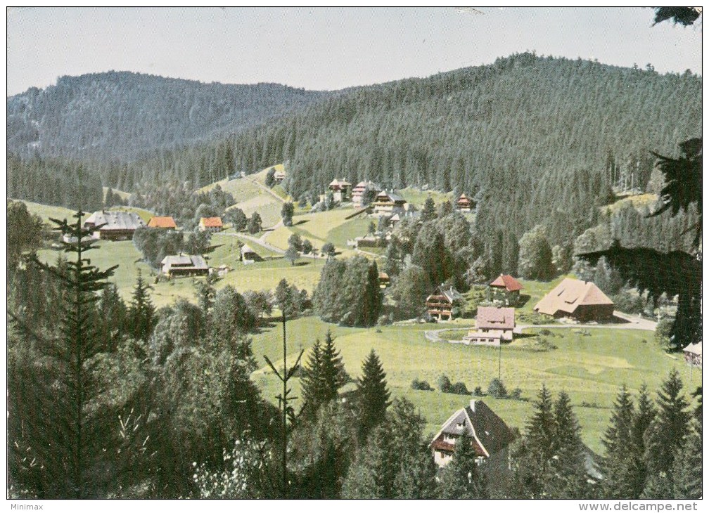 Hinterzarten - Oberzarten - Hinterzarten