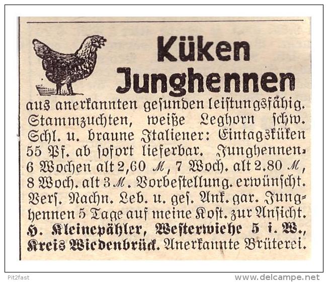 Original Werbung - 1939 - Küken , Junghennen , H. Kleinepähler In Westerwiehe / Rietberg B. Wiedenbrück , Geflügel !!! - Historische Dokumente