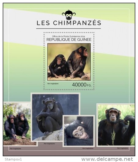 Guinea. 2014 Chimpanzees. (406b) - Chimpanzees