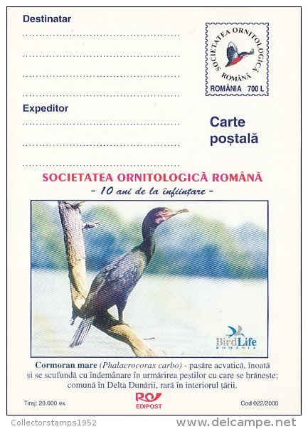 10240- BIRDS, GREAT CORMORANT, POSTCARD STATIONERY, 2000, ROMANIA - Marine Web-footed Birds