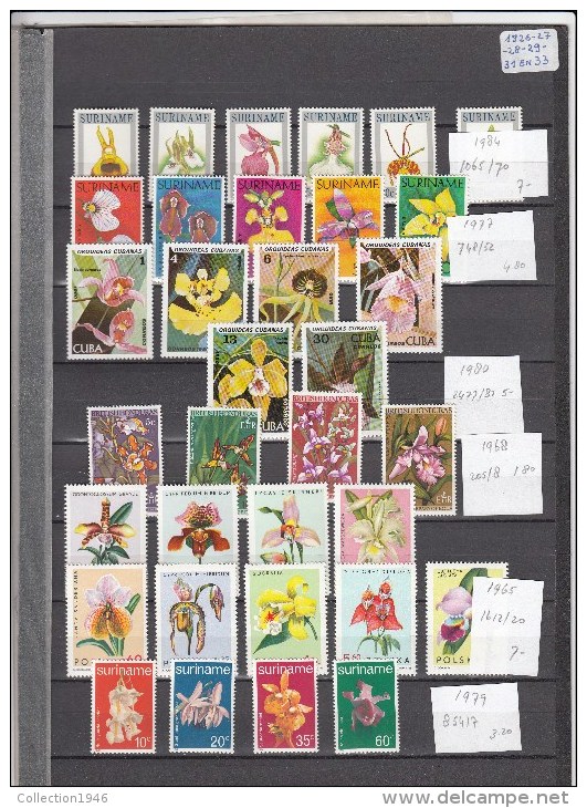 Flowers Orchids,23 Sets/5Blocks,small Collection,orchids,orchidee,orquidea,orchidea,bloemen,fleurs,MNH/Postfris (A1398) - Orchideeën