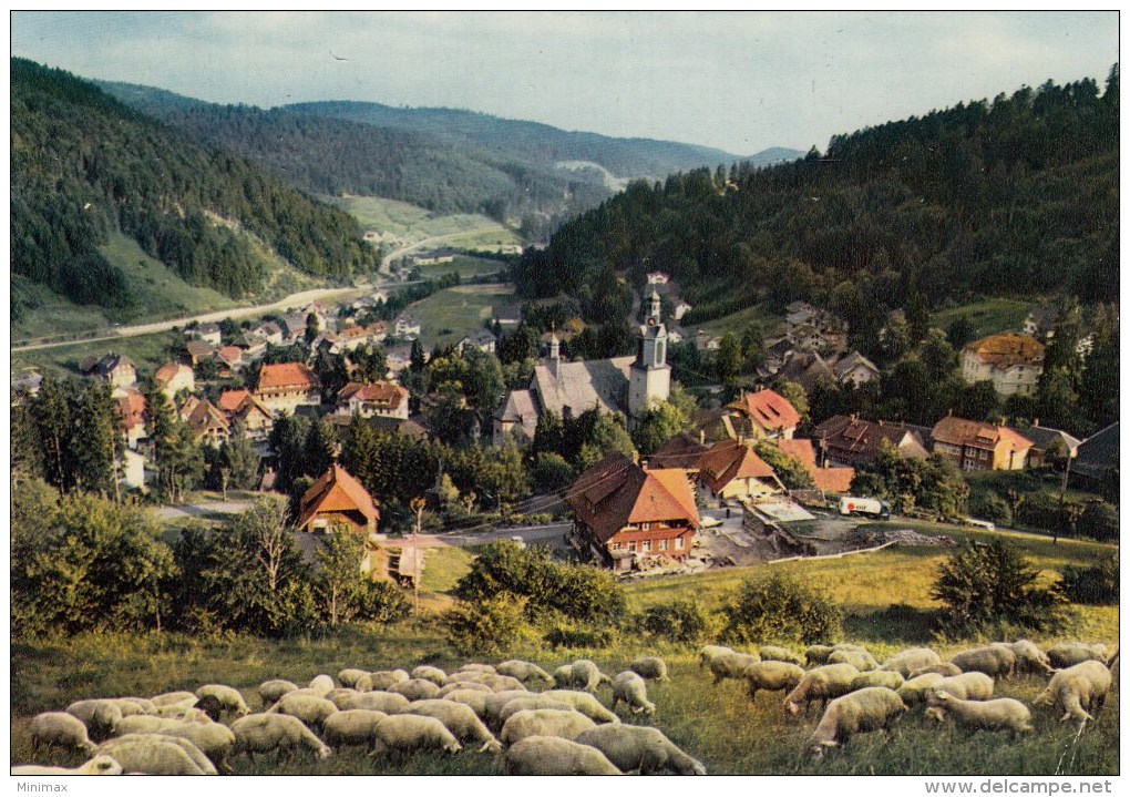 Kurort Todtmoos Im Südl - 1977 - Todtmoos