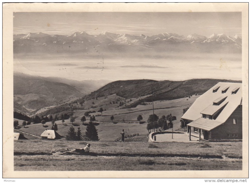 Carte Photo - Jugendherberge Michael-Fleiner-Haus Todtnauberg - Blick Auf Die Alpen - 1949 - Loerrach
