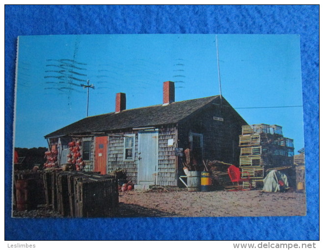 A Typical Lobster Shack, Cape Cod, Massachusetts - Cape Cod