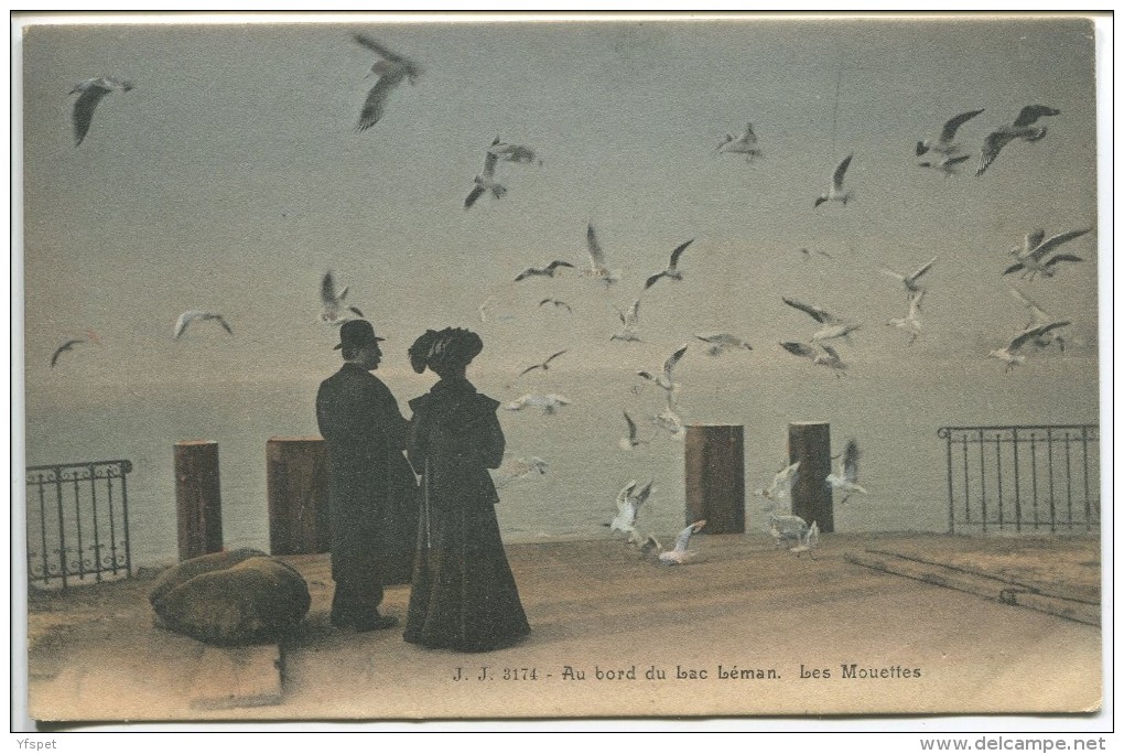 Switzerland - Au Bord Du Lac Leman. Les Mouettes - Andere & Zonder Classificatie