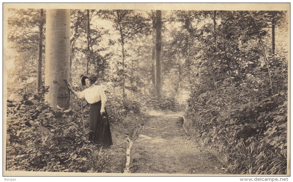 Photo Ancienne Panorama Dans Les Bois De Remouchamps 14,5x9cm - Old (before 1900)