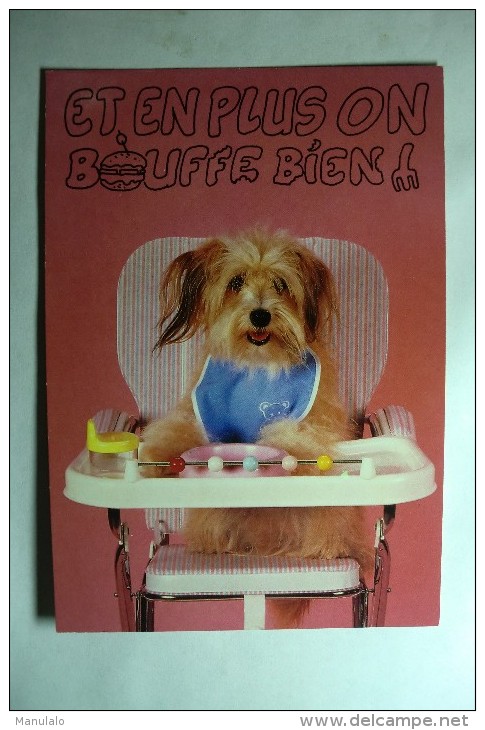 Humour - Et En Plus On Bouffe Bien ! - Chien - Dog - Humour