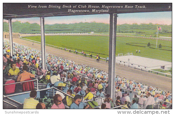 Maryland Hagerstown Race Track View From Dining Deck Of Club House Horse Racing - Hagerstown