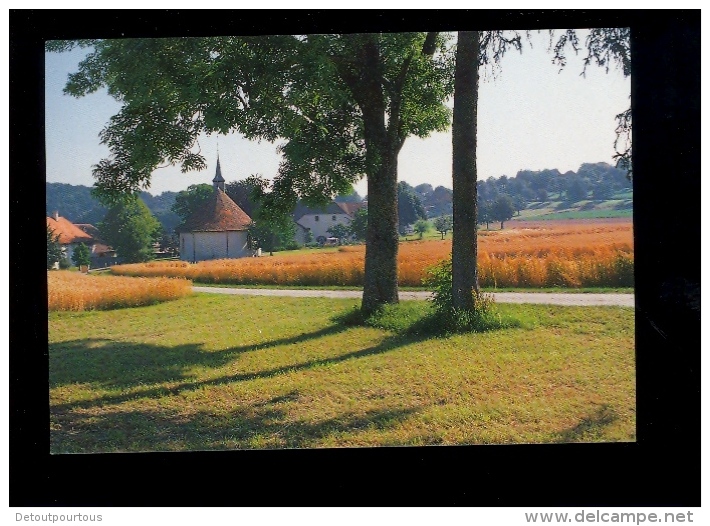 CHENE PAQUIER Vaud Crêt Bérard 2000 Série 26 Chemins En Pays De Vaud - Other & Unclassified