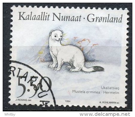 Greenland 1994 5.50k Mustela Erminea Issue #270 - Gebruikt