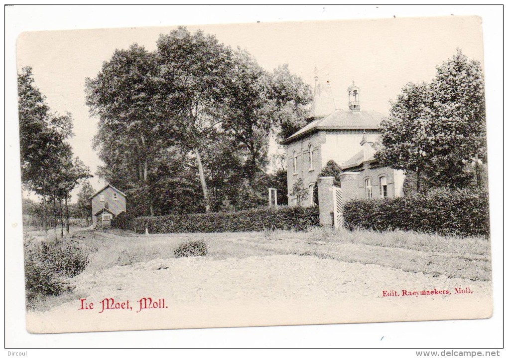 29745  -  Moll  Le   Maet - Mol