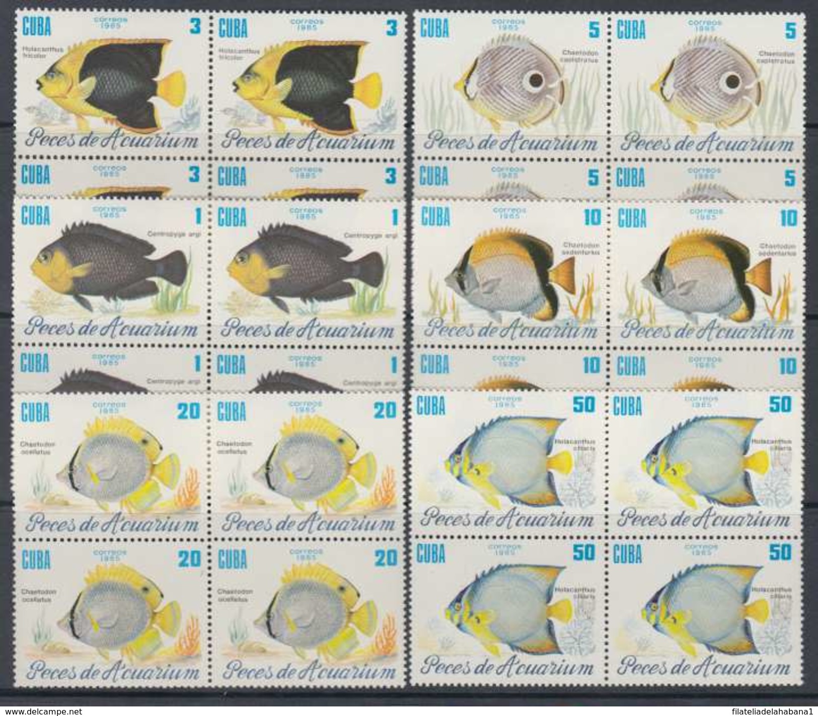 1985.15 CUBA 1985. MNH. SEA FAUNA. PECES DE ACUARIUM. FISH. BLOCK 4. - Ongebruikt