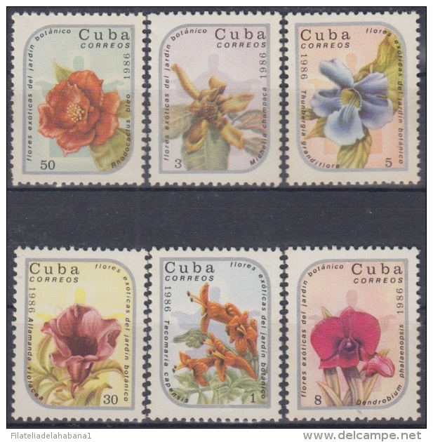 1986.11- * CUBA 1986. MNH. ORQUIDEAS. ORCHILD. FLORES. FLOWERS. VENDIDA EN DIVISAS. ONLY CURRENCY SALE. - Neufs