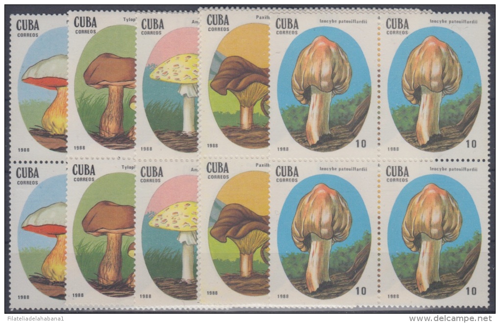 1988.17- * CUBA 1988. MNH. HONGOS. CHAMPIÑONES. MUSHROOMS. COMPLETE SET. BLOCK 4. - Neufs