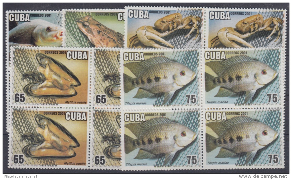 2001.31- * CUBA 2001. MNH. ACUICULTURA. TILAPIA. RANA. ALMEJAS. CANGREJOS. PECES. FISH. FROG. BLOCK 4. - Ungebraucht