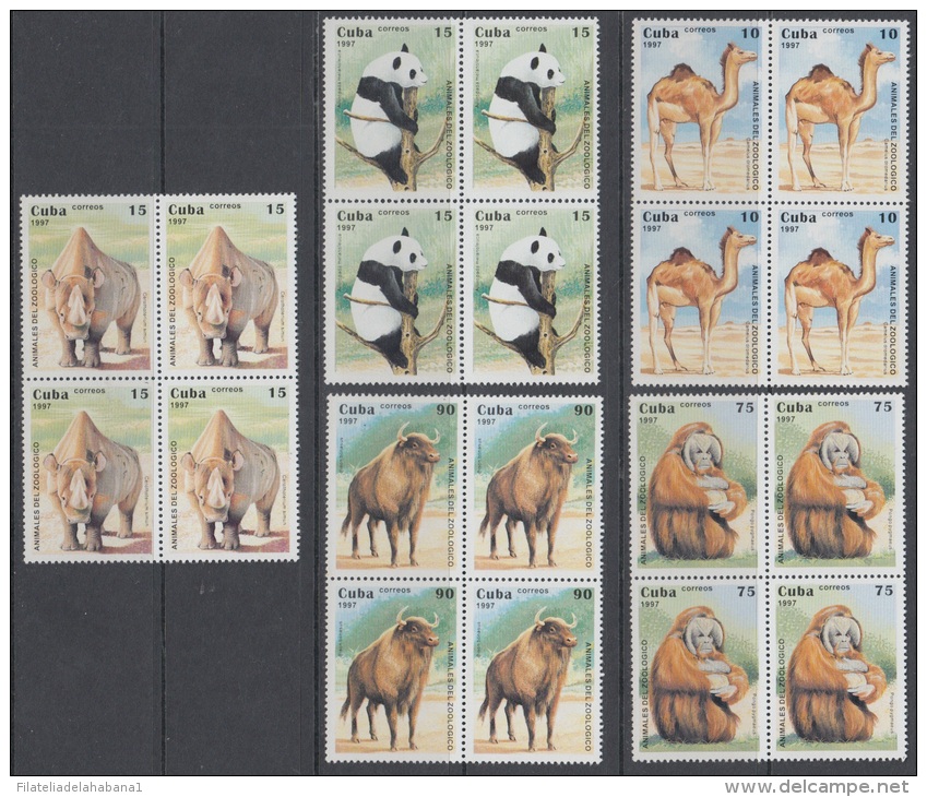 1997.40- * CUBA 1997. MNH. ZOO NACIONAL. CAMELLO. OSO PANDA. RINOCERONTE. ORANGUTAN. BISONTE. MONKEY. BEAR. BLOCK 4. - Unused Stamps