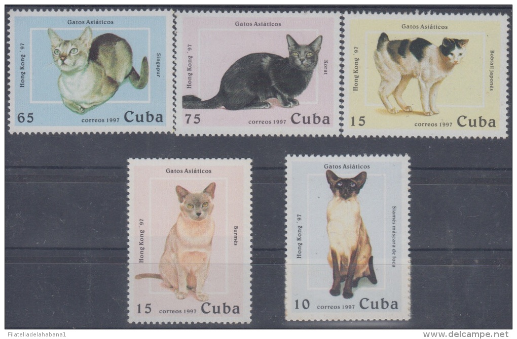 1997.41- * CUBA 1997. MNH. GATOS DE RAZA ASIATICOS. ASIAN CAT. PHILATELIC EXPO HONG KONG. - Unused Stamps