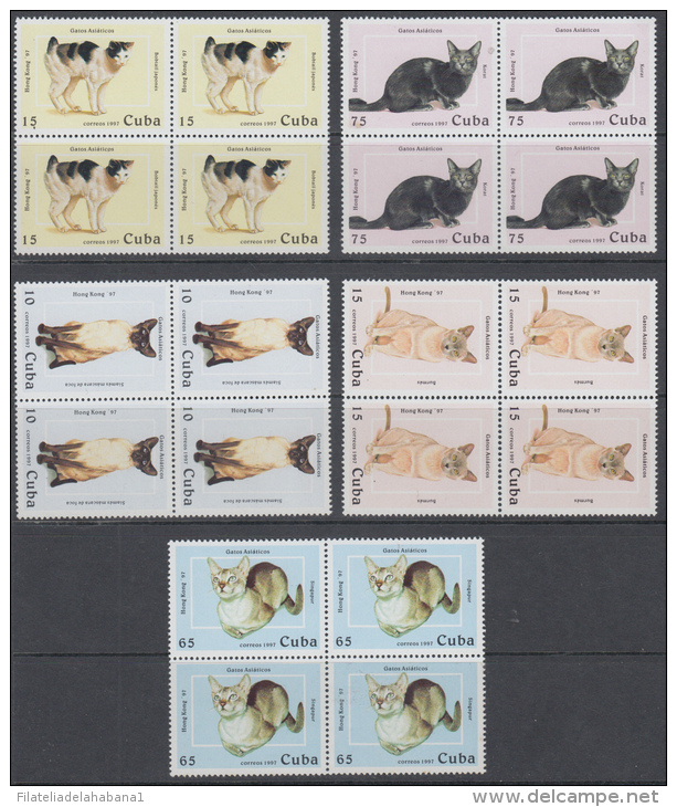 1997.42- * CUBA 1997. MNH. GATOS DE RAZA ASIATICOS. ASIAN CAT. PHILATELIC EXPO HONG KONG. - Unused Stamps