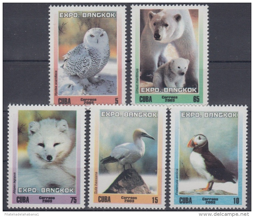 2003.41- * CUBA 2003. MNH. EXPO BANGKOK. SET + SHEET. THAILAND. FAUNA POLAR. FOCA. OSO POLAR. BEAR . AVES. BIRD. - Neufs