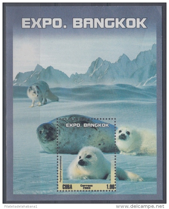 2003.41- * CUBA 2003. MNH. EXPO BANGKOK. SET + SHEET. THAILAND. FAUNA POLAR. FOCA. OSO POLAR. BEAR . AVES. BIRD. - Neufs