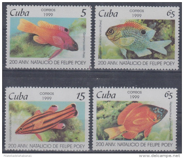 1999.16- * CUBA 1999. MNH. 200 ANIV NACIMIENTO DE FELIPE POEY. PECES.  FISH. - Unused Stamps