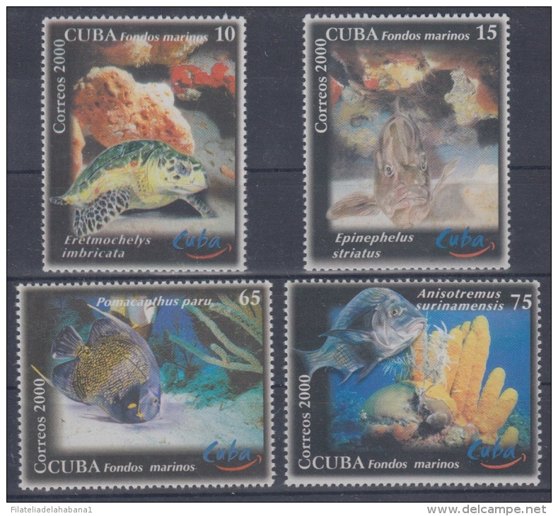 2000.31- * CUBA 2000. MNH. FONDOS MARINOS. SEA FAUNA. CAREY. TORTLE. TORTUGA. - Used Stamps