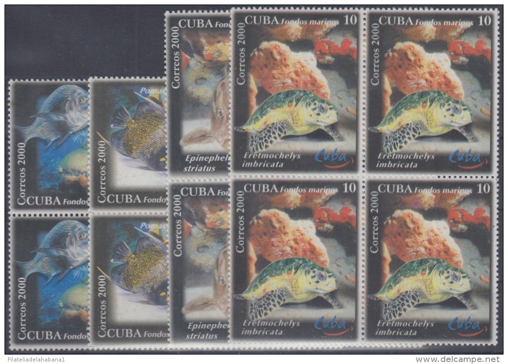 2000.32- * CUBA 2000. MNH. FONDOS MARINOS. SEA FAUNA. CAREY. TORTLE. TORTUGA. BLOCK 4. - Usados