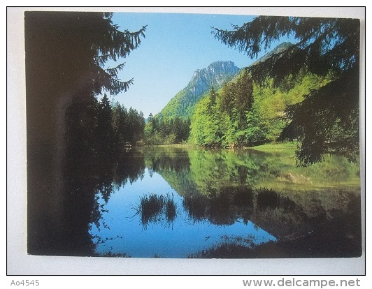 H92 Taubensee Bei Ruhpolding - Traunstein