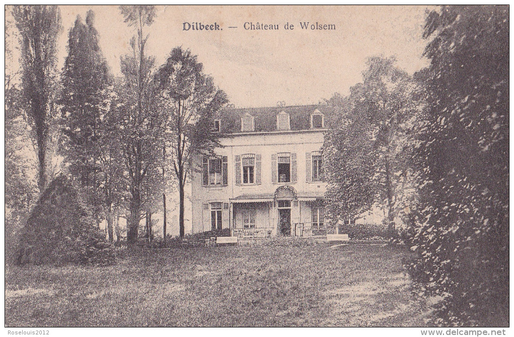 DILBEEK : Château De Wolsem - Dilbeek