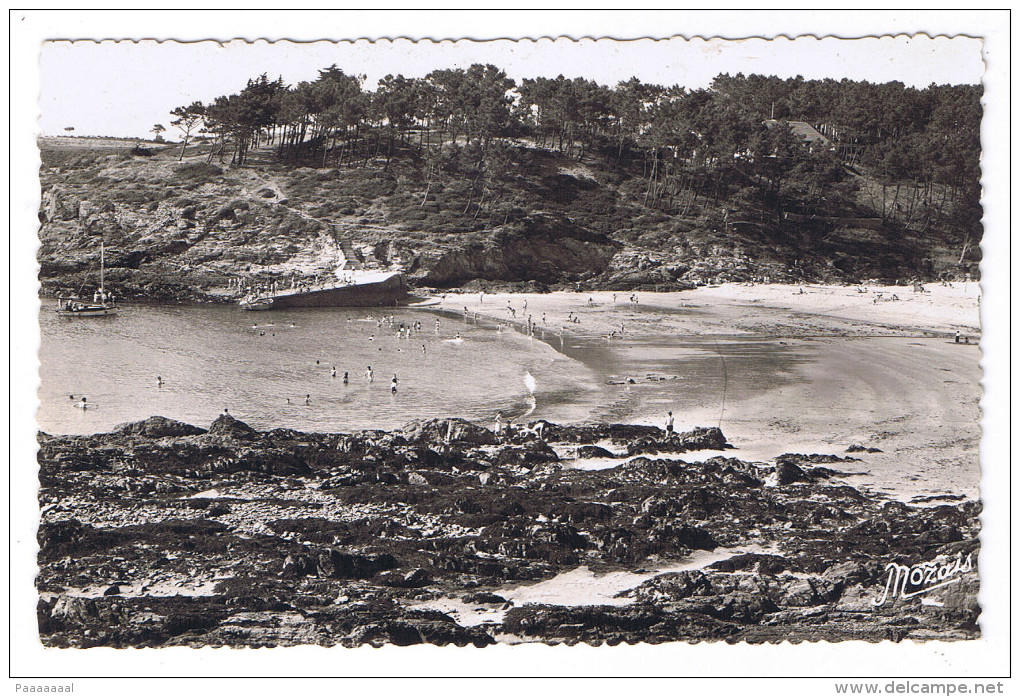 MOELAN KERFANY  LA PLAGE ET LA POINTE DE KERFANY - Moëlan-sur-Mer