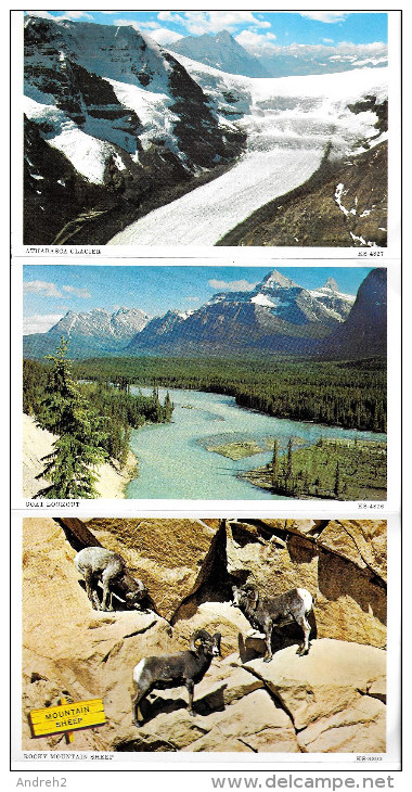 JASPER - ALBERTA - COLUMBIA ICEFIELD - JASPER NATIONAL PARK - CARNET SOUVENIR - SOUVENIR FOLDER - 12 PHOTOS - Jasper