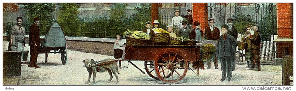 HONDENKAR VLISSINGEN 1908 Markt - ATTELAGE De CHIEN & MARCHANDE LEGUMES LAITIERE - DOG DRAWN CART - MARCHE Span      M45 - Vlissingen